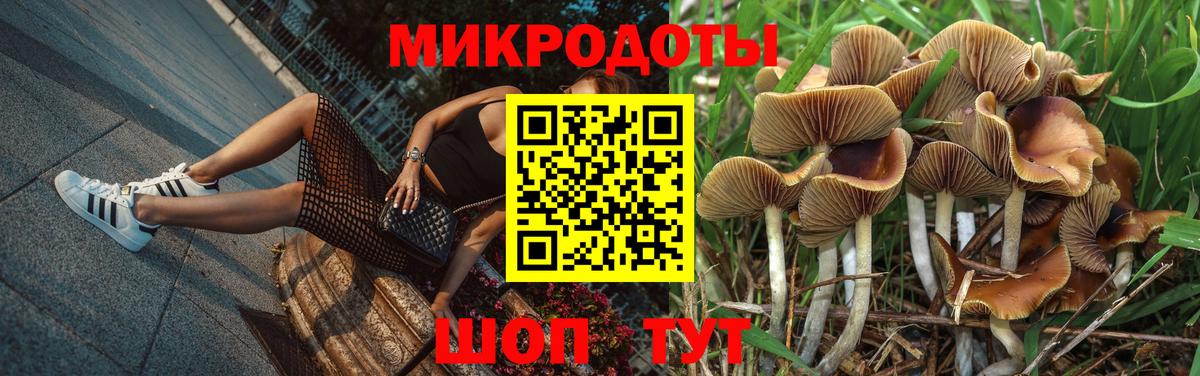 Галлюциногенные грибы прущие грибы Аша
